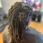 Starter Locs