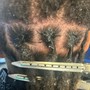 Loc Maintenance (wash, detox & retwist) NO STYLE.