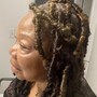 Passion Twists (Mid Back Length)