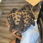 Kid retwist and style (13 and under)