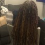 Passion Twist, Marley Twist, Cuban Twist, Island Twist, Rope Twists, Kinky Twists, Senegalese Twists