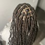 Micro/Sister starter locs