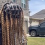 12 cornrows