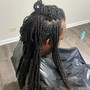 Starter Locs