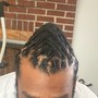 Starter locs