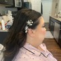 Bridal/Wedding Hairstyles