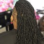 Starter Locs