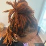 Starter Micro Locs