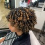 Root Touch Up