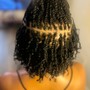 Starter Locs - Micro Locs