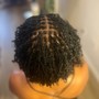 Starter Locs - Half Head / Cut Sides / Kids