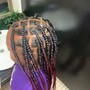 Kid Feed in braided ponytail