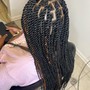 Tree Braids