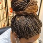 Tree Braids