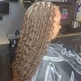 Adult 6-7 Feed-in Braids + Hair Included