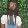 Knotless Box Braids