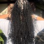 Medium Senegalese Twist