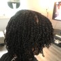 Root Touch Up