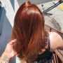 Partial Highlights