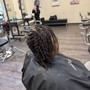 Island (Senegalese) Twist