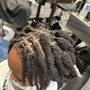 Starter Locs