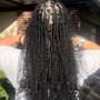 Medium Senegalese Twist