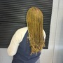 Senegalese Twist(small mid back)