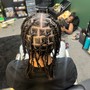 Men cornrows