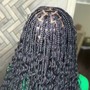 Poetic Justice Braids