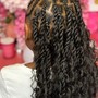 Cornrow Front, Individual Back