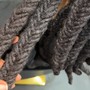 Two Strand Twists (Ear Length)