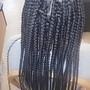 Medium Box Braids