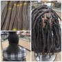 Starter Locs