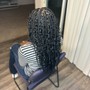 Knotless Braids (Small)