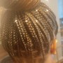 Up to 5 Stitch Braids (No Weave)