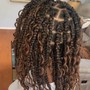 Crochet Braids