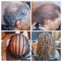 Root Touch Up