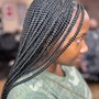 Knotless Box Braids (small/ medium) Mid back