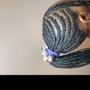 Medium Box Braids