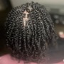 Starter Locs/Two strand twists