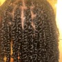 Twists/Braids