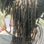 Root Touch Up