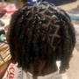 Two Strand Twist