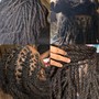 Retwist & Style