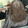 Senegalese Twist