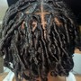 Starter Locs