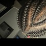 Individual Braids