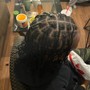 Starter Locs