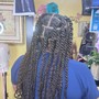 Senegalese Twist large