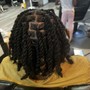 Adult Starter Locs